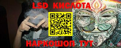 mdpv Славгород