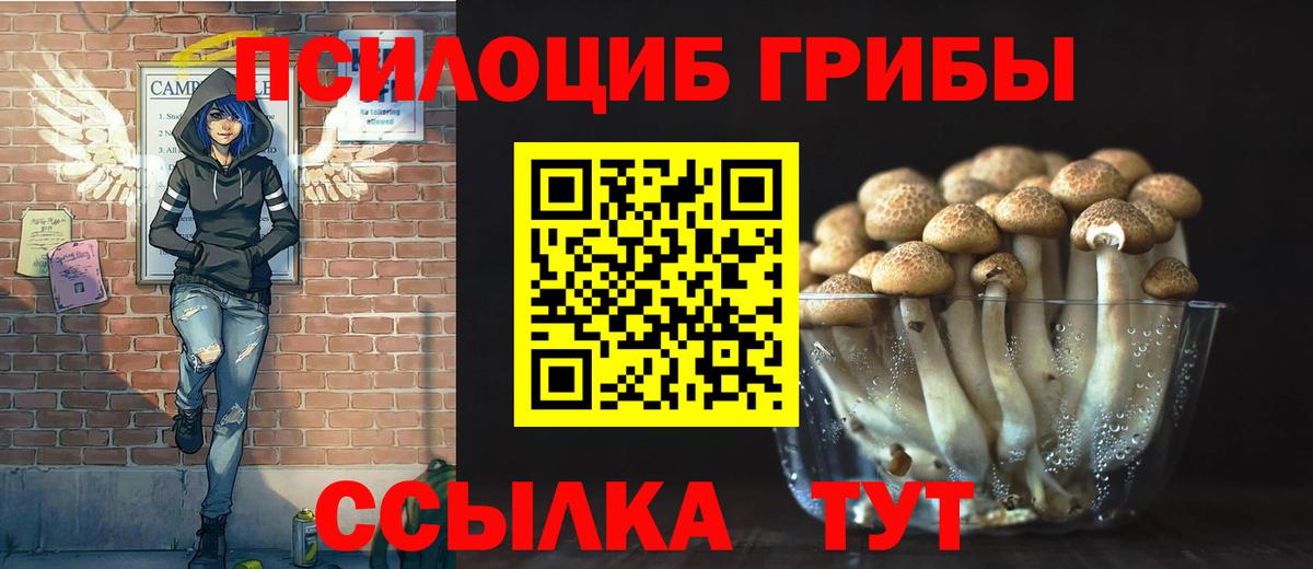 Псилоцибиновые грибы мицелий Моздок