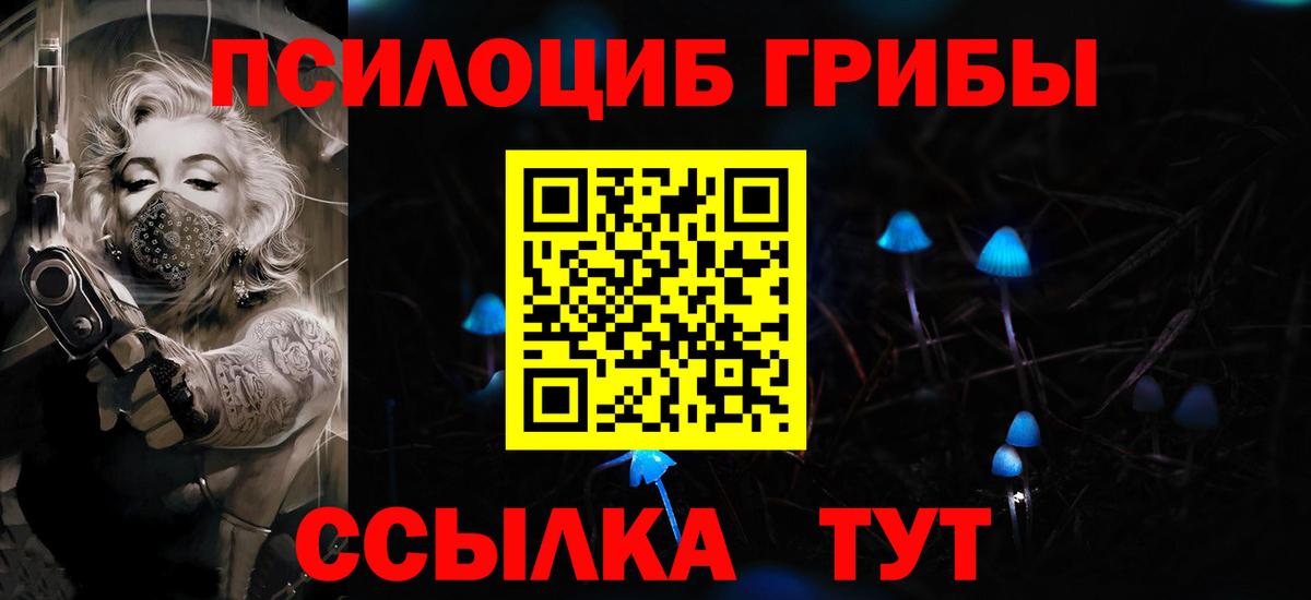 Моздок  Псилоцибиновые грибы Magic Shrooms  Вход с VPN 